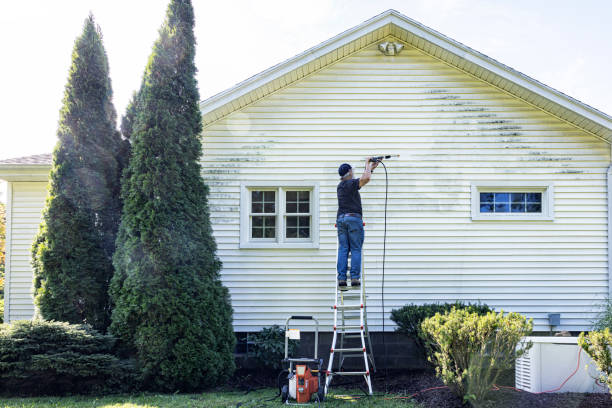 Best Driveway Pressure Washing  in Homer, AK